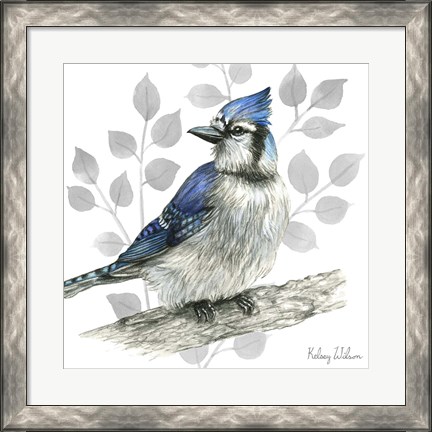 Framed Backyard Birds I-Blue Jay Print