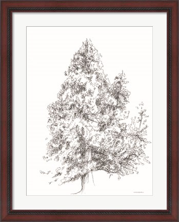 Framed Whispering Pines 1 Print