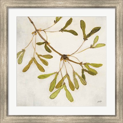 Framed Maple Branch Crop Print