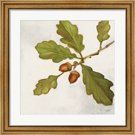 Framed Oak Branch Crop Print