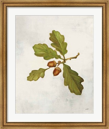 Framed Oak Branch Print