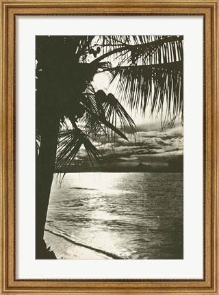 Framed Palm Beach II Print