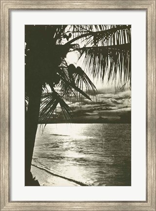 Framed Palm Beach II Print