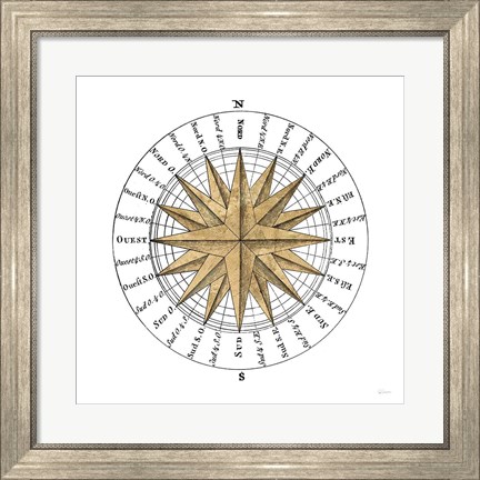 Framed Solar Globe II Print