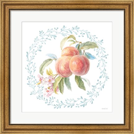 Framed Blooming Orchard III Print