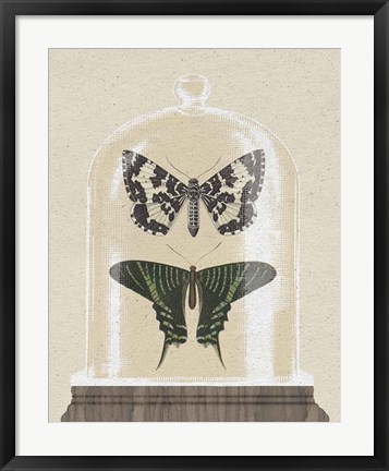 Framed Cottage Butterflies II Print