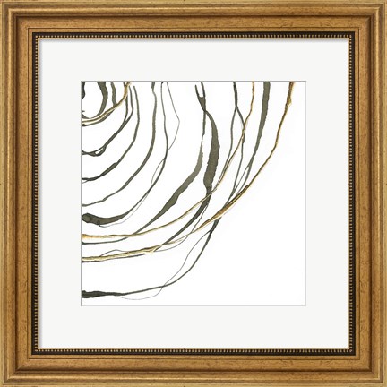 Framed Not Quite Concentric IV Print