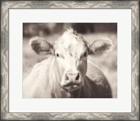 Framed Pasture Cow Neutral Print