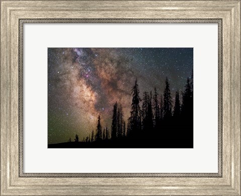 Framed Wilderness Print