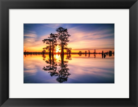 Framed Dawn in Henderson Swamp Print