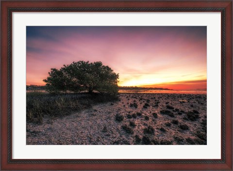 Framed Cedar Key Sunrise Print