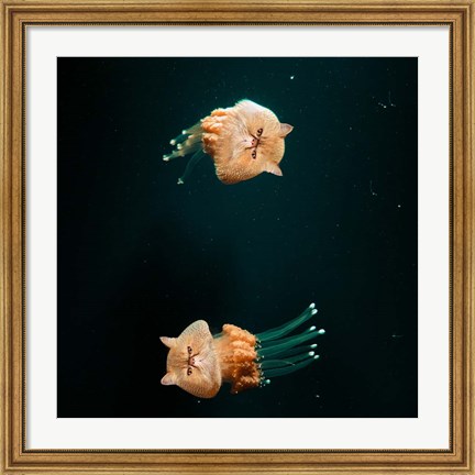 Framed Jellycats Print