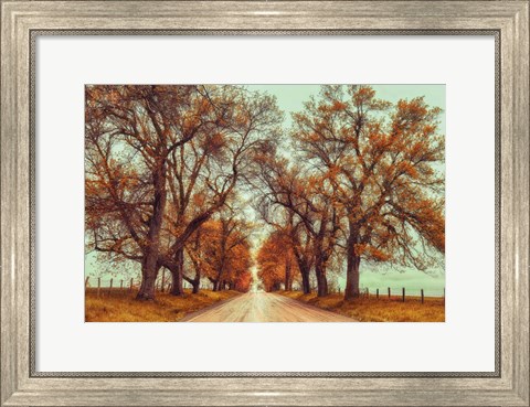 Framed November Adventures Print