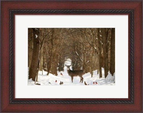 Framed Forest of Snow White Print