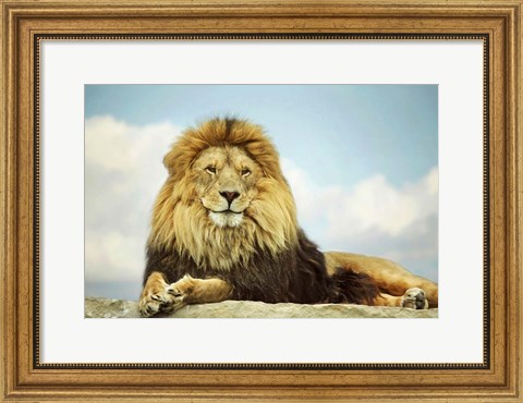 Framed King Print