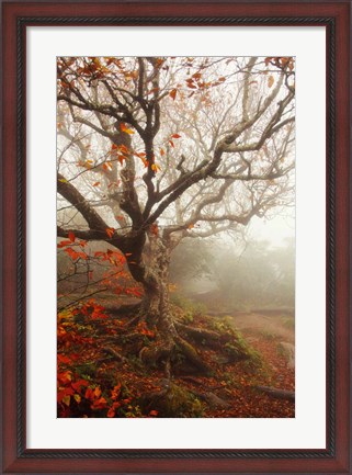 Framed Tree of Seasons Print