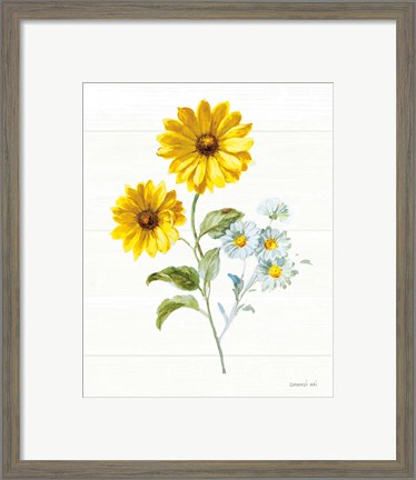 Framed Bees and Blooms Flowers IV Print