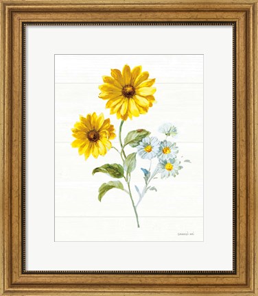 Framed Bees and Blooms Flowers IV Print