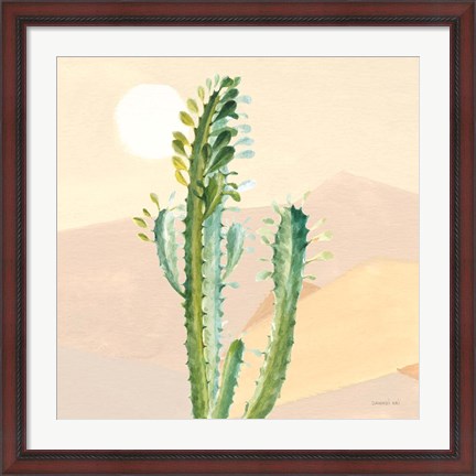 Framed Desert Greenhouse II Print