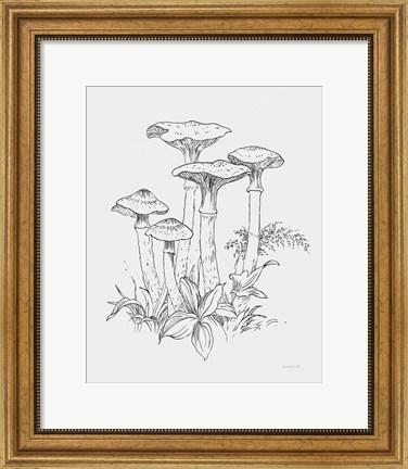 Framed Natures Sketchbook I Bold Light Gray Print