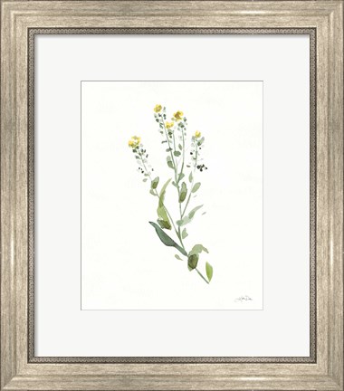 Framed Flowers of the Wild IV Print