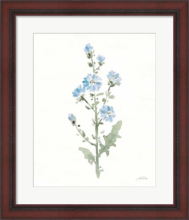 Framed Flowers of the Wild III Print