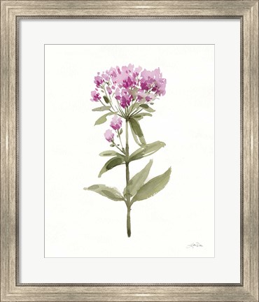 Framed Flowers of the Wild II Print