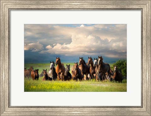 Framed Running Free II Print