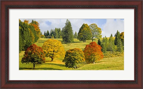 Framed Autumn in Quebec Print