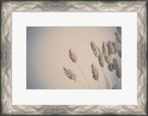 Framed Dried Grass Study Print