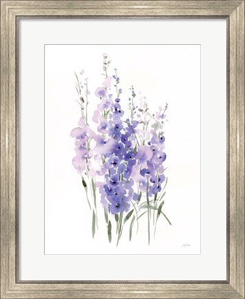 Framed Spring Blooms III Print