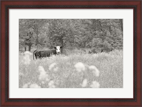 Framed Summer Farm II BW Print