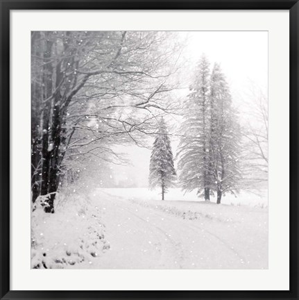 Framed Let it Snow II BW No Words Print