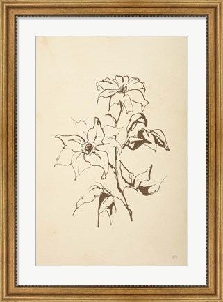 Framed Vintage Line Clematis Print