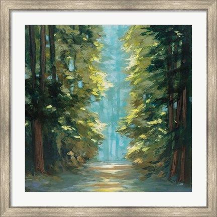 Framed Sunlit Forest Print