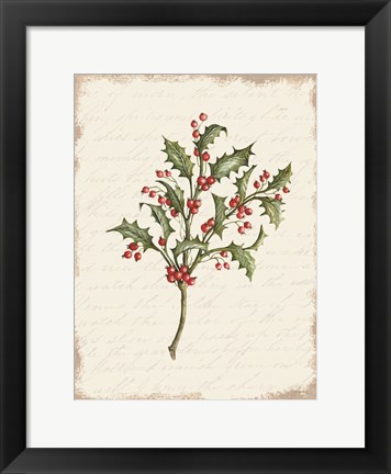 Framed Holly Christmas Botanical Print