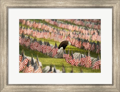 Framed Final Salute - Blad Eagle Print