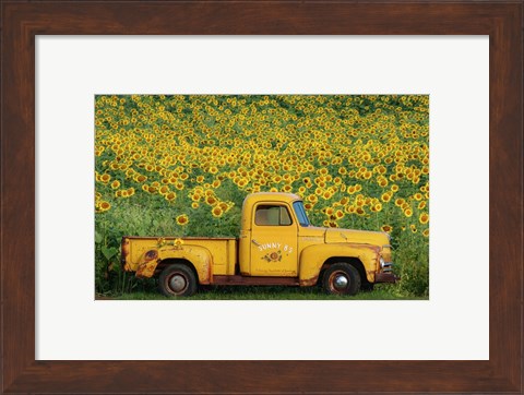 Framed Yellow Vintage Sunflower Truck Print
