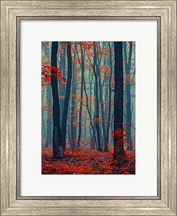 Framed Autumn Forest In The Mist Print