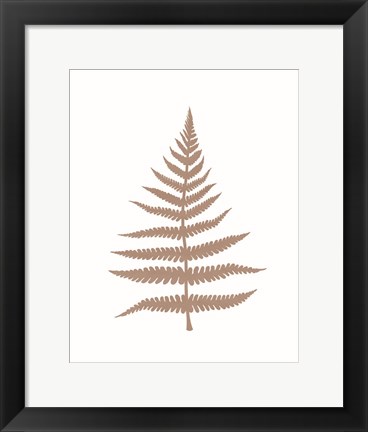 Framed Fern 1 Print