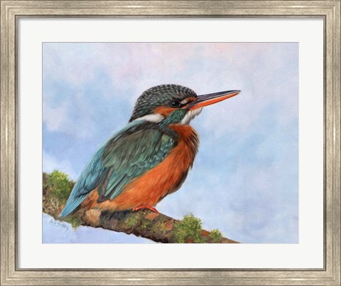 Framed Kingfisher 2 Print