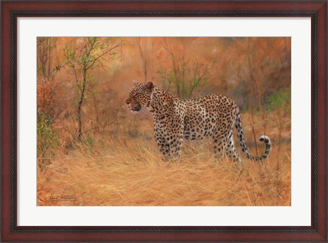 Framed Leopard In The African Bush 2 Print