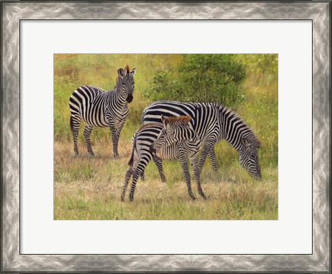 Framed Zebras South Luangwa Print