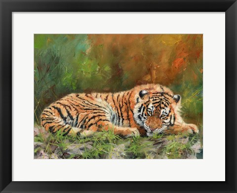 Framed Amur Tiger Laying Down Print