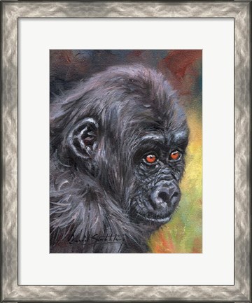 Framed Baby Gorilla86 Print