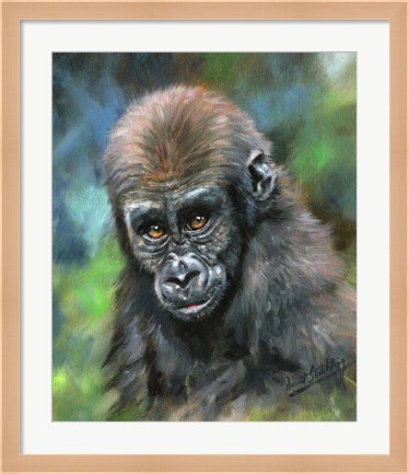 Framed Baby Mountain Gorilla Print