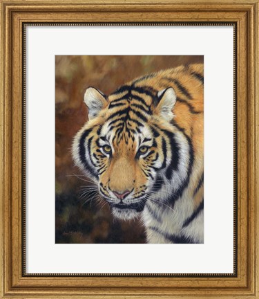 Framed Tiger Siberian Print