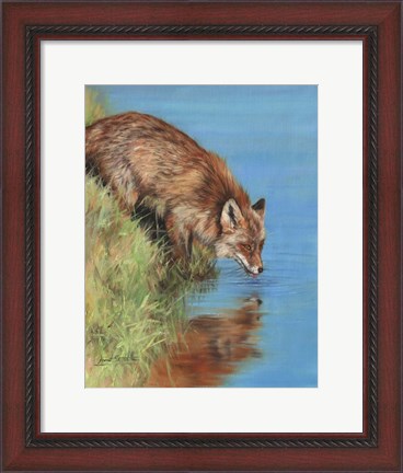 Framed Fox Drinking Print