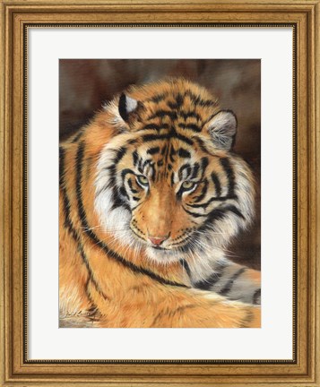 Framed Tiger 10 Print