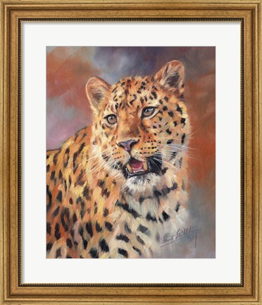 Framed Leopard Gaze Print